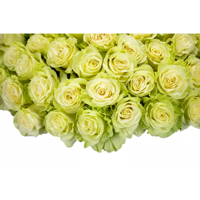 Bouquet of white roses